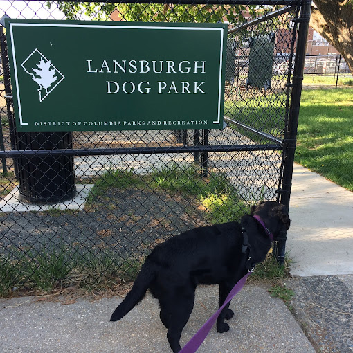 Lansburgh Dog Park in Washington, D.C.